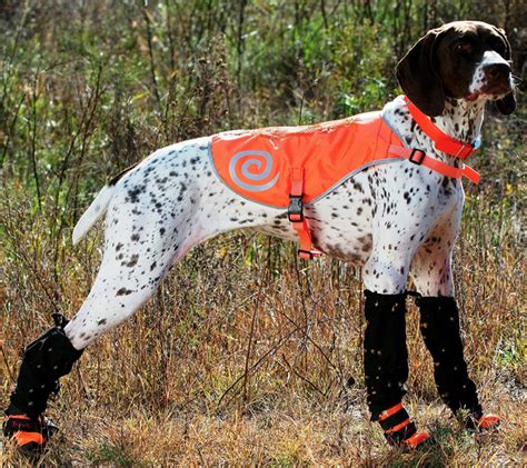 snow dog hunting kit